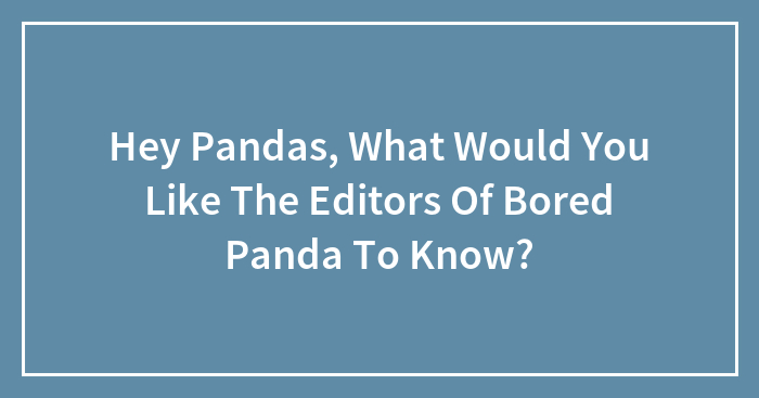 Hey Pandas, What Would You Like The Editors Of Bored Panda To Know?