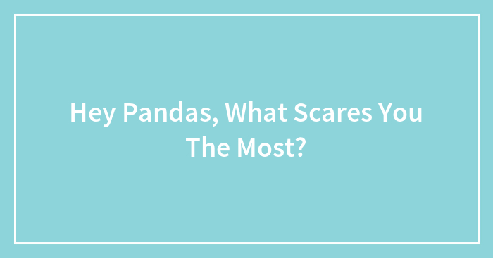 Hey Pandas, What Scares You The Most? (Closed)
