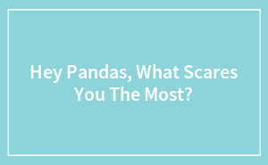 Hey Pandas, What Scares You The Most?