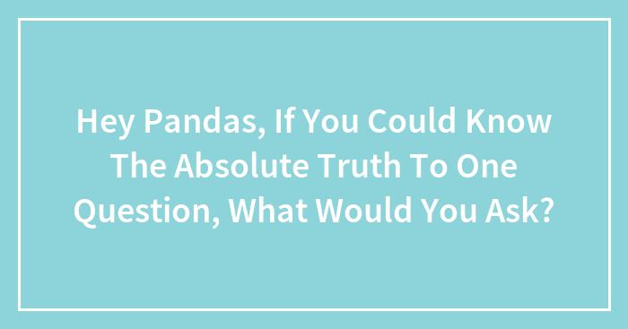 Hey Pandas, If You Could Know The Absolute Truth To One Question, What Would You Ask? (Closed)