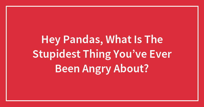 Hey Pandas, What Is The Stupidest Thing You’ve Ever Been Angry About? (Closed)