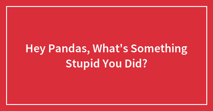 Hey Pandas, What’s Something Stupid You Did? (Closed)