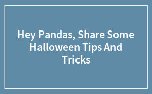Hey Pandas, Share Some Halloween Tips And Tricks (Closed)