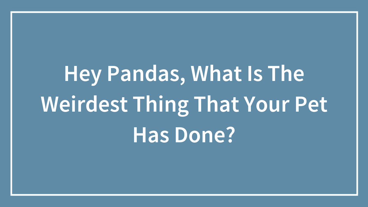 Hey Pandas, What Is The Weirdest Thing That Your Pet Has Done?