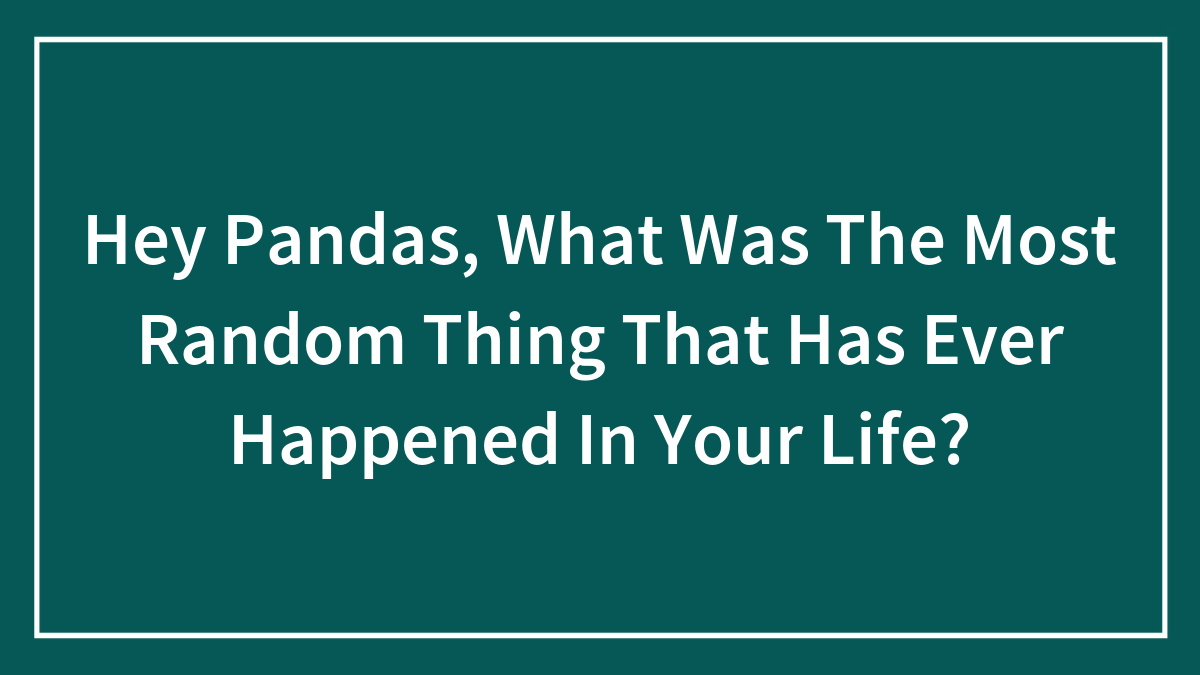 Hey Pandas, What Was The Most Random Thing That Has Ever Happened In Your Life?