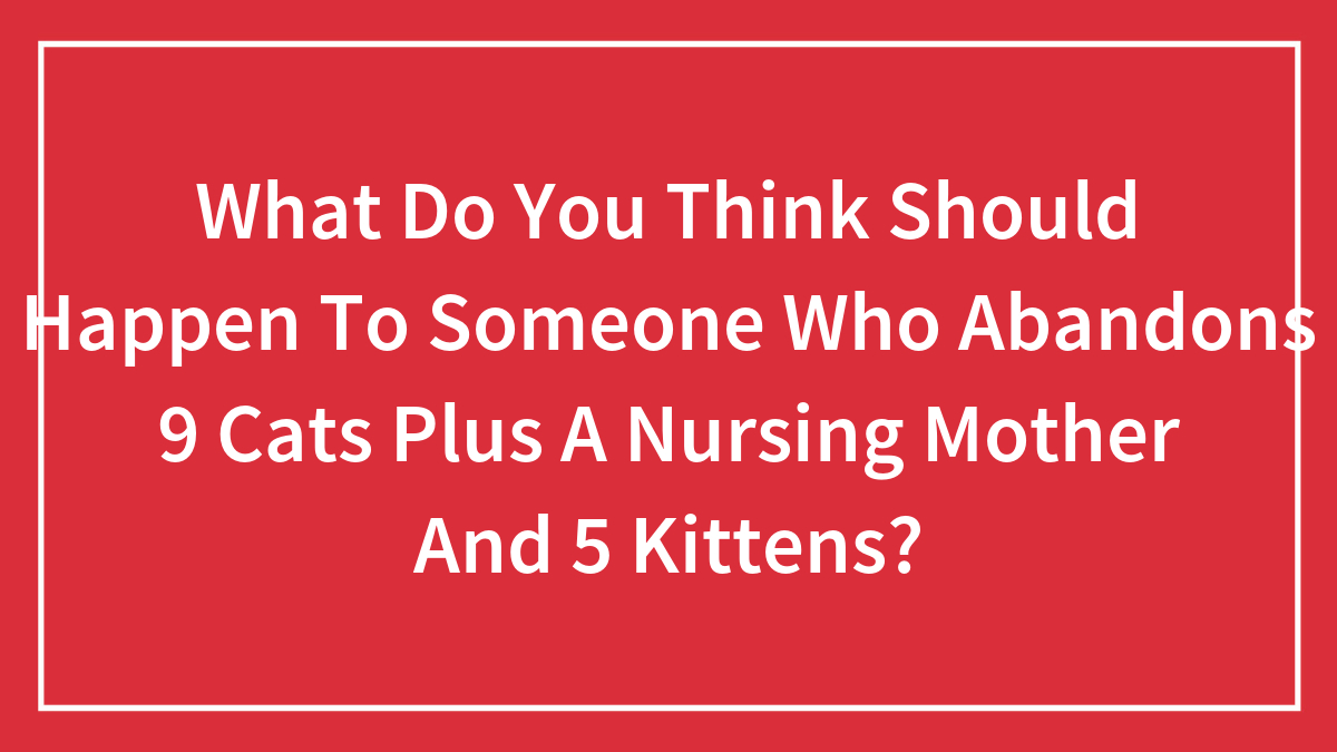 What Do You Think Should Happen To Someone Who Abandons 9 Cats Plus A Nursing Mother And 5 Kittens?
