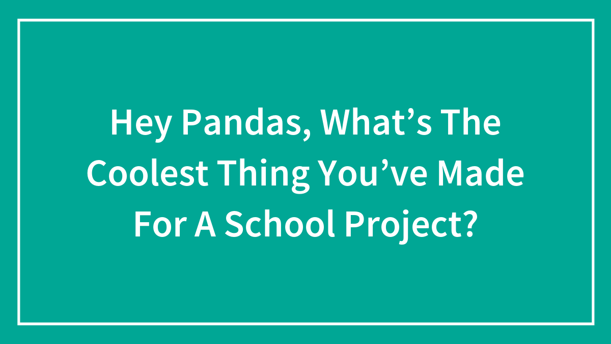 Hey Pandas, What’s The Coolest Thing You’ve Made For A School Project?