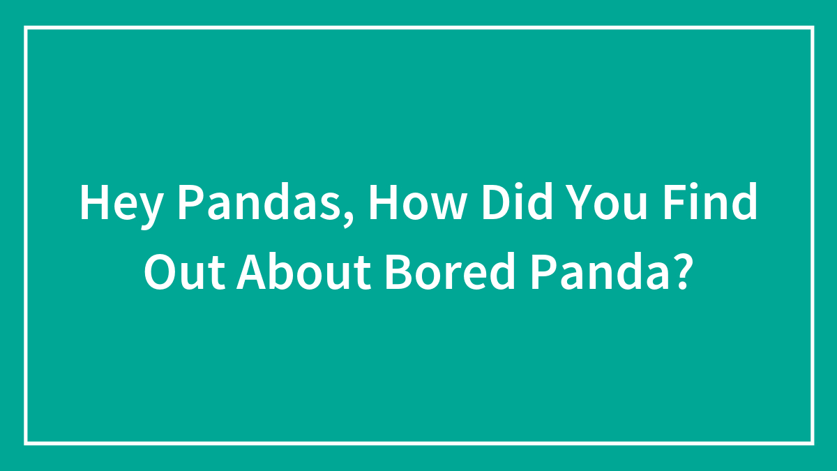 Hey Pandas, How Did You Find Out About Bored Panda? (Closed)