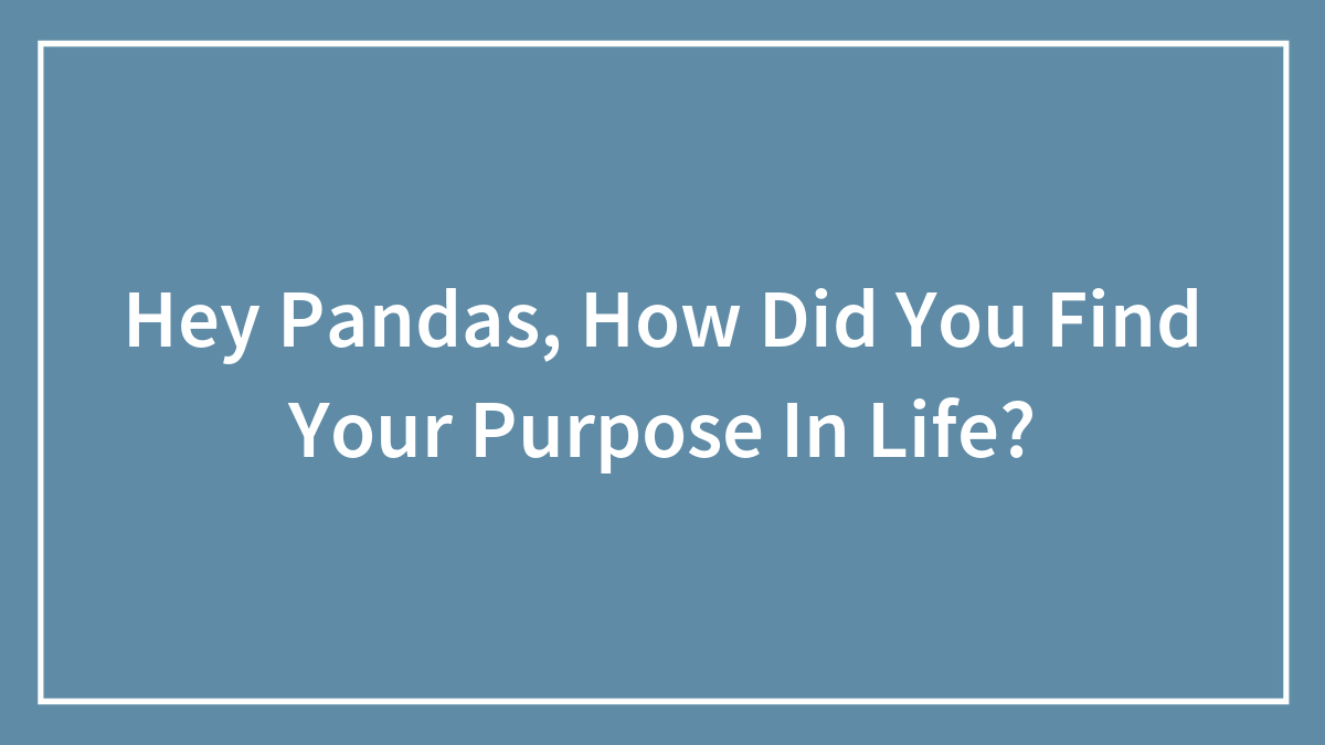 Hey Pandas, How Did You Find Your Purpose In Life?