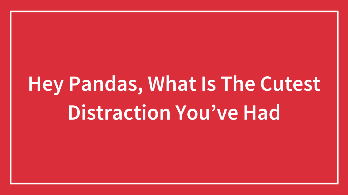 Hey Pandas, What Is The Cutest Distraction You’ve Had