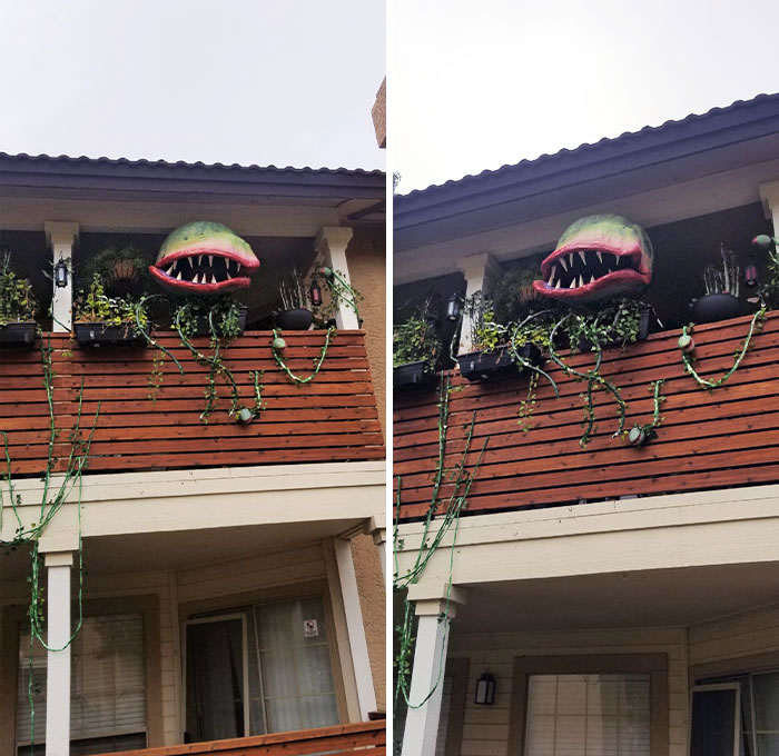I See You Like Man Eating Plants. Here Is Last Year's Halloween Decor