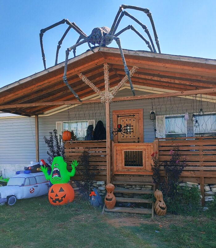  Our Spider Is Ready For This Halloween