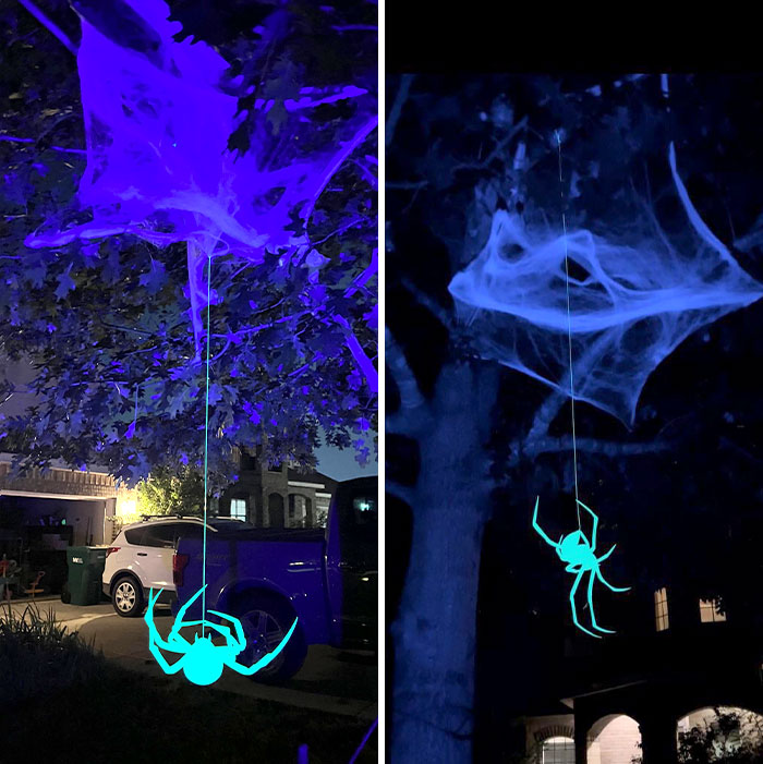 Fluorescent Glowing Spiders