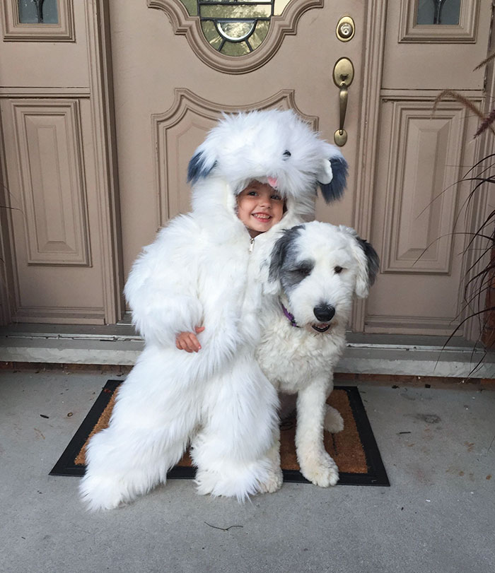 My Daughter Wanted To Be A Sheepdog For Halloween
