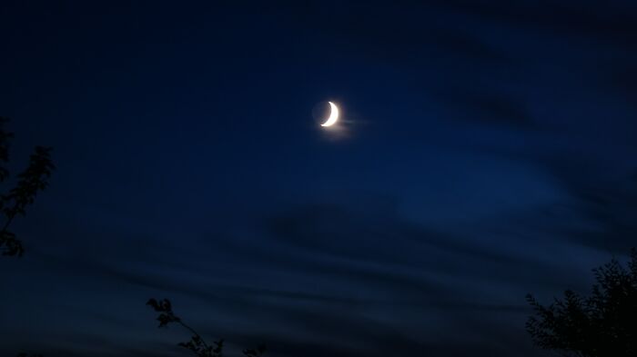 Half moon in the night