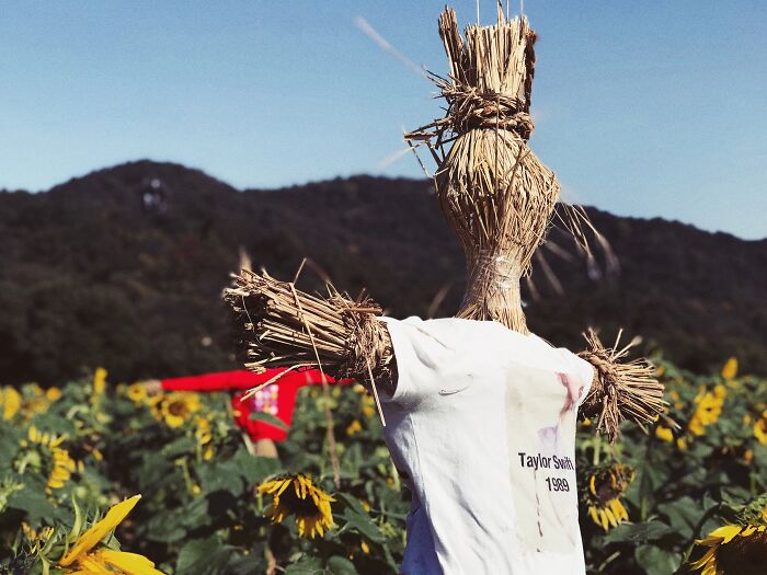 Scarecrow with white shirt