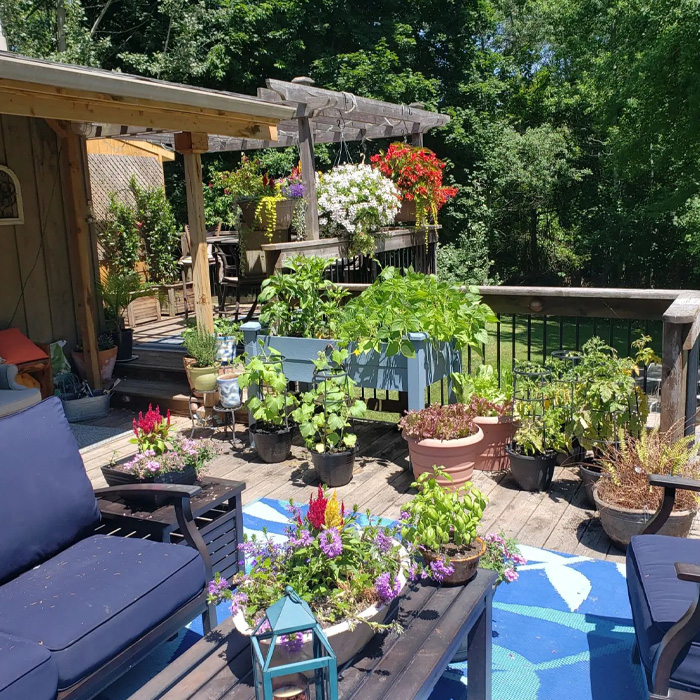 Backyard deck with vibrant plants and flowers, showcasing creative backyard deck ideas to enhance your outdoor space. Backyard deck with vibrant plants and flowers, showcasing creative backyard deck ideas to enhance your outdoor space.