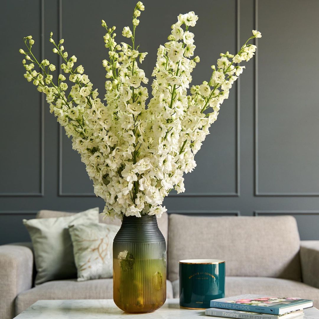 white delphinium stalks in a vase