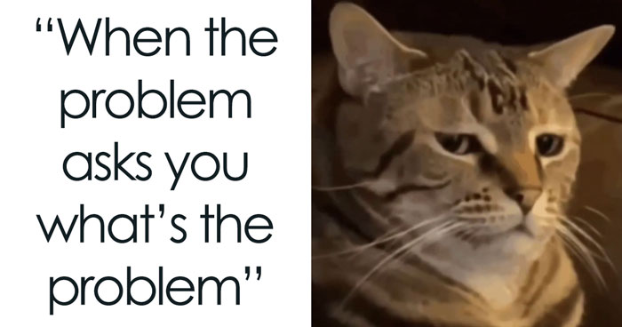 In Case You’re Having A Bad Day, Here Are 50 Amusing Memes From Instagram Account “Diary Introverts”