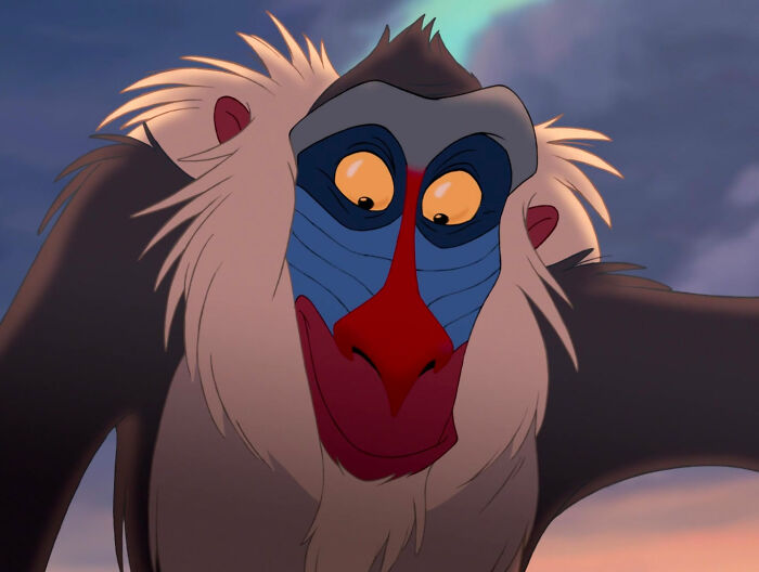 Rafiki watching from the Lion King