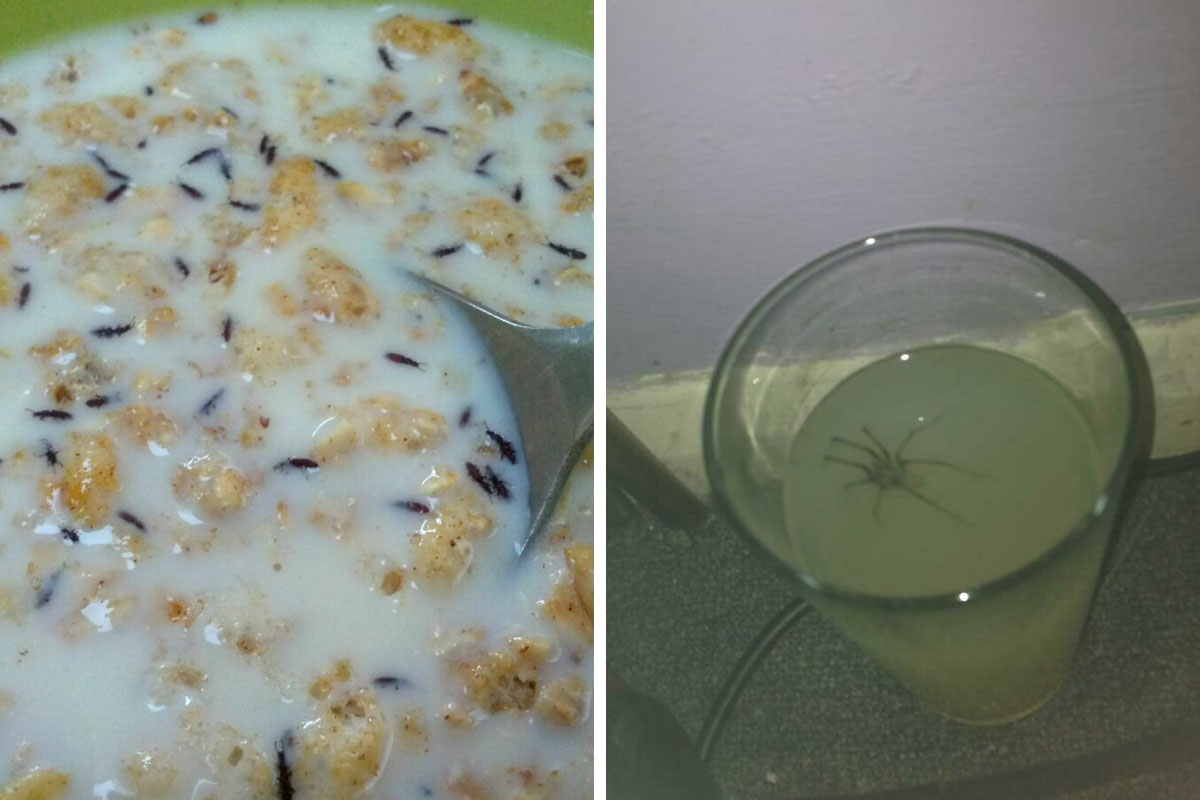 30 People Who Are Having An Awful Day When It Comes To Food Bored Panda