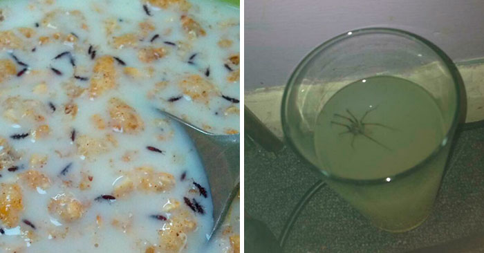 30 People Who Are Having An Awful Day When It Comes To Food
