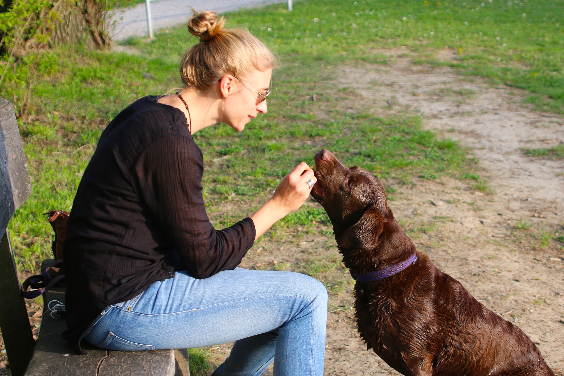 Woman interacting with a dog, addressing food aggression behavior in an outdoor setting.