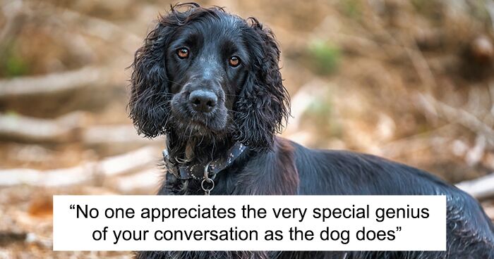 I Created Another “Motivational Dog Quotes” Series To Help All Dog Lovers Laugh And Smile (13 Pics)