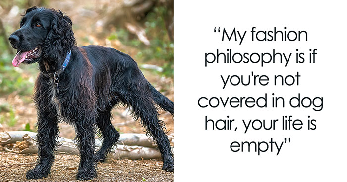 I Created Another “Motivational Dog Quotes” Series To Help All Dog Lovers Laugh And Smile (13 Pics)