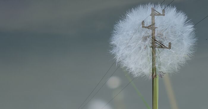 My 30 Double-Exposure Photographs Revealing Hidden Narratives