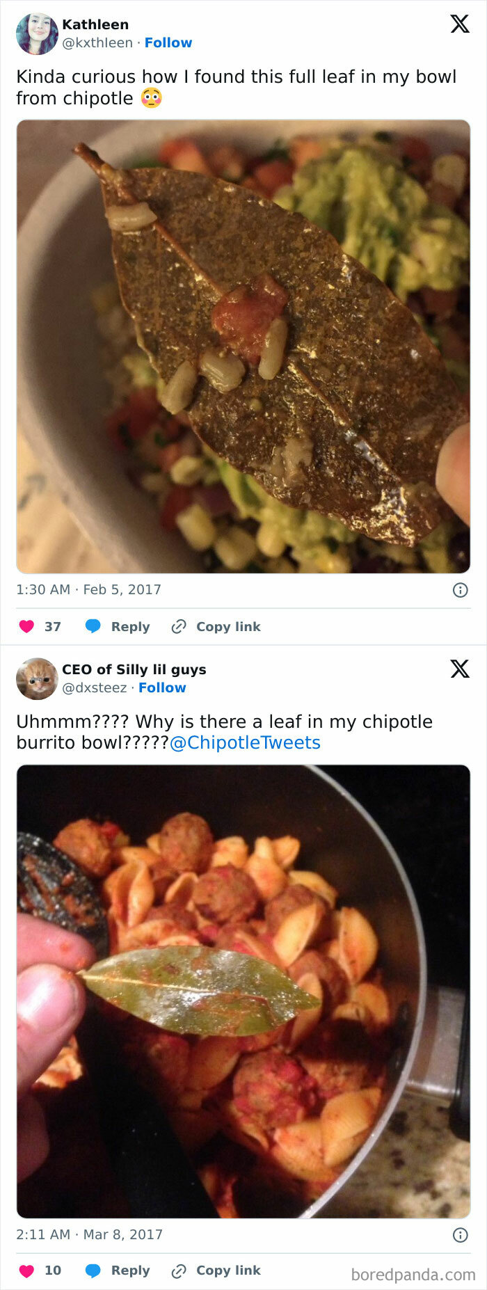 Chipotle Customers Don't Know What's A Bay Leaf