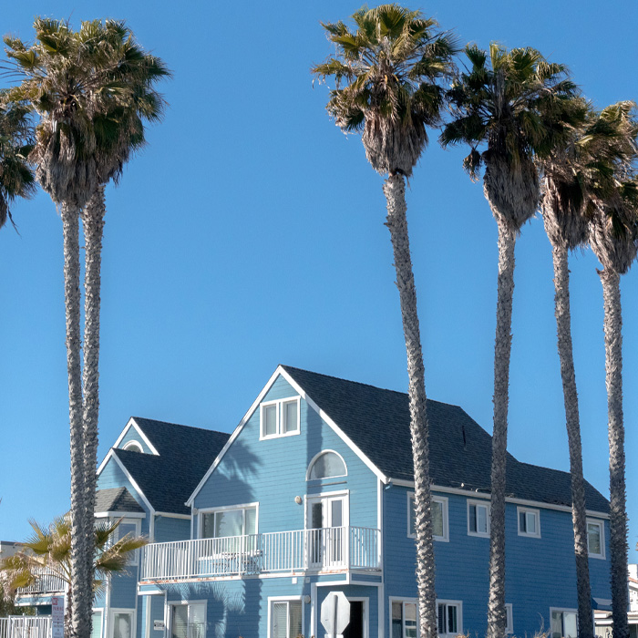 Blue house surrounded by palms 
