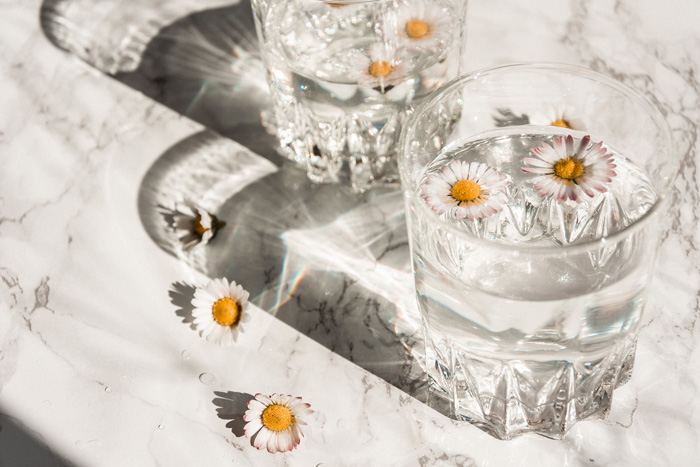 White daisy in the glass of a water 