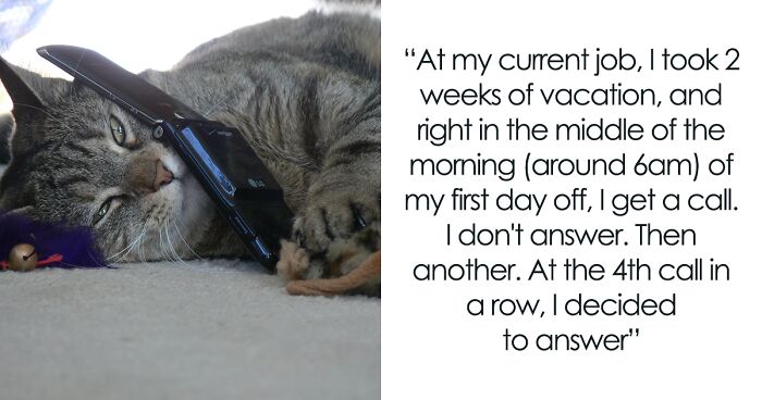 Random Boss Won’t Believe He Got The Wrong Number And Keeps Calling This Person On Vacation