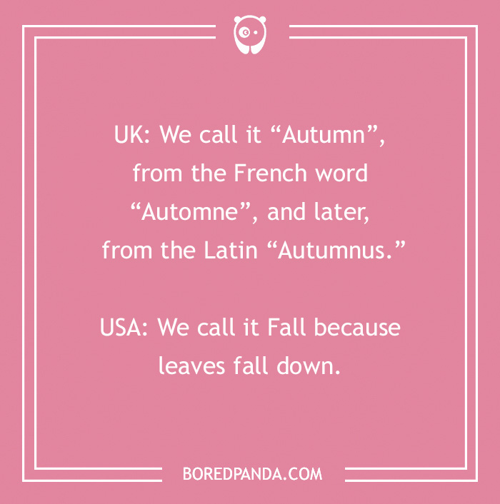 138 Fall Jokes To Make You Fall About Laughing