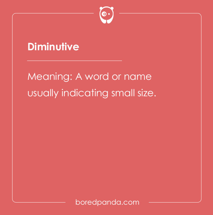 The meaning of diminutive