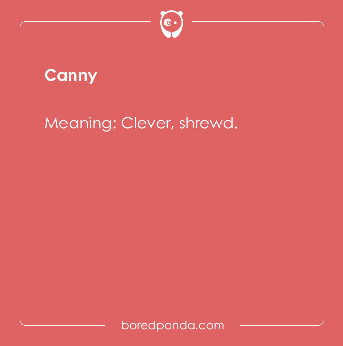 The meaning of word canny
