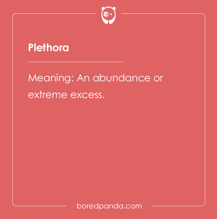 The meaning of word plethora