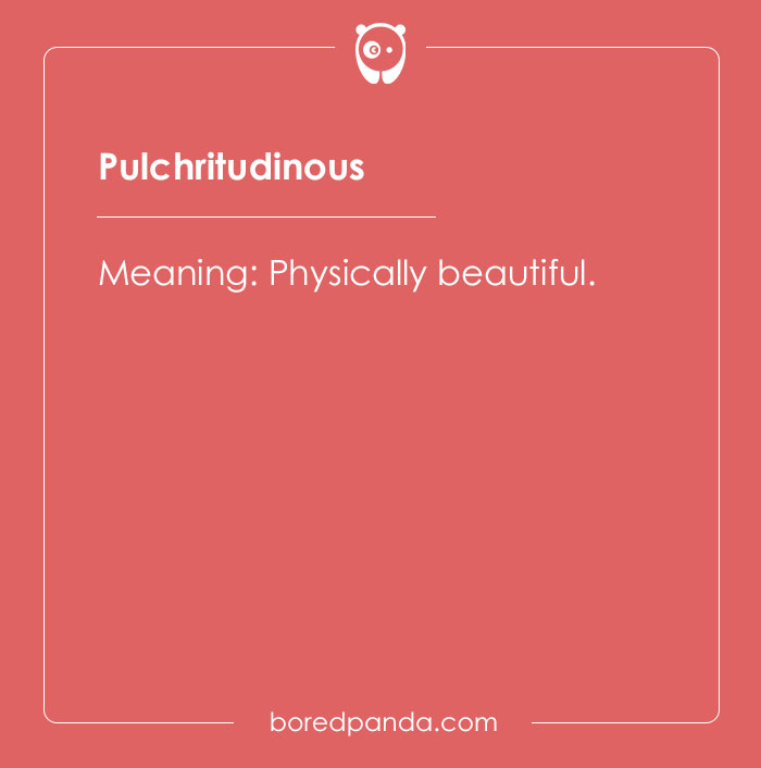 The meaning of pulchritudinous