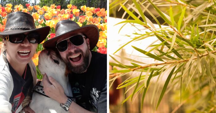 Hey Pandas, Share A Picture That Always Inspires You (Closed)