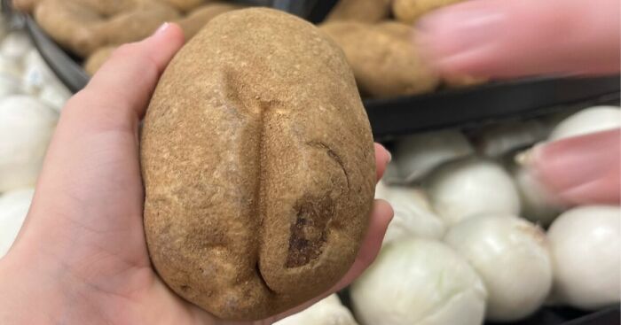 Hey Pandas, What Is The Most Expensive Thing You’ve Ever Bought? (Closed)