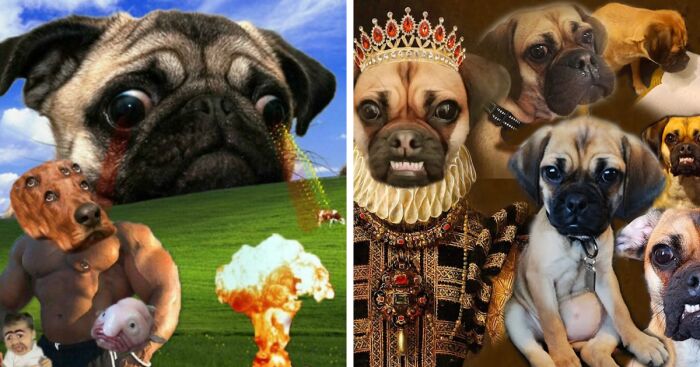 Hey Pandas, Show Me Your “The Longer You Look, The Worse It Gets” Photos (Closed)