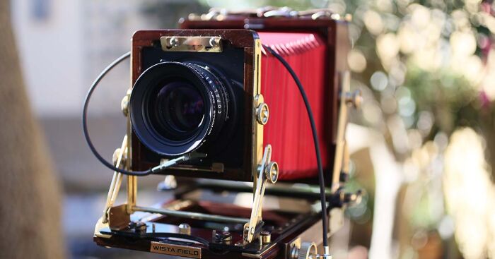 I Bought An Old Wooden Camera And Started Taking Pictures With It