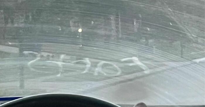 Hey Pandas, What Is The Dumbest Thing You Have Ever Bought? (Closed)