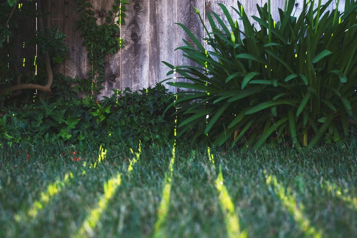 Wooden fence with lush greenery, highlighting solutions to keep dogs from digging under fences. Wooden fence with lush greenery, highlighting solutions to keep dogs from digging under fences.