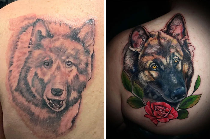 Terrible tattoo before and after getting fixed: wolf design enhanced with vivid colors and a red rose.