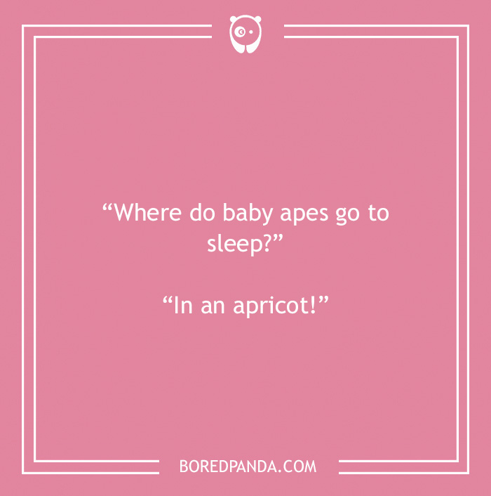 Fruit joke about baby apes going to sleep 