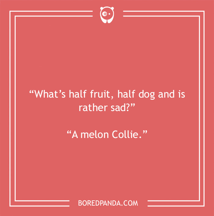 Fruit joke about melon Collie 