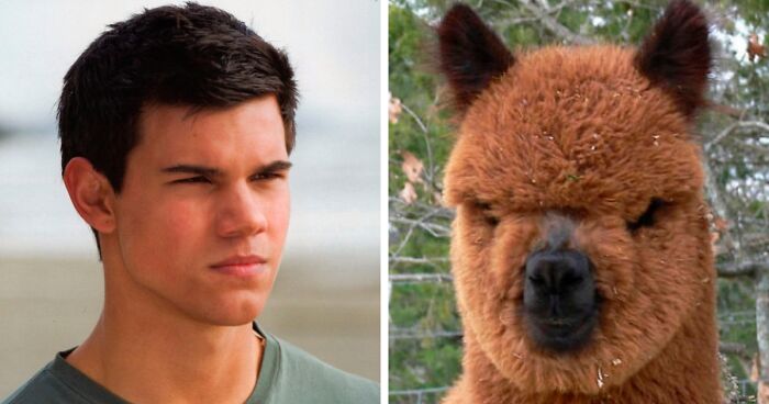 37 Times People Shared The Most Hilarious Celebrity Lookalikes That Genuinely Look Similar