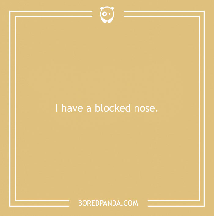 Far-fetched funny excuses for calling in sick shown with a simple phrase about having a blocked nose.
